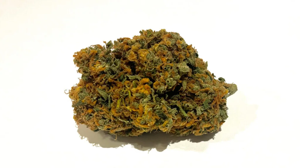 The Strains in Spain Are Mainly From The Plane — spain 5