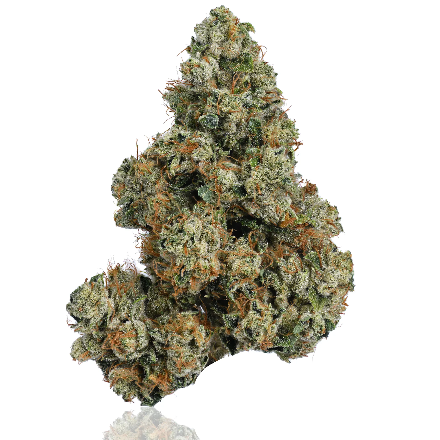 Skywalker OG flower photographed on a white background