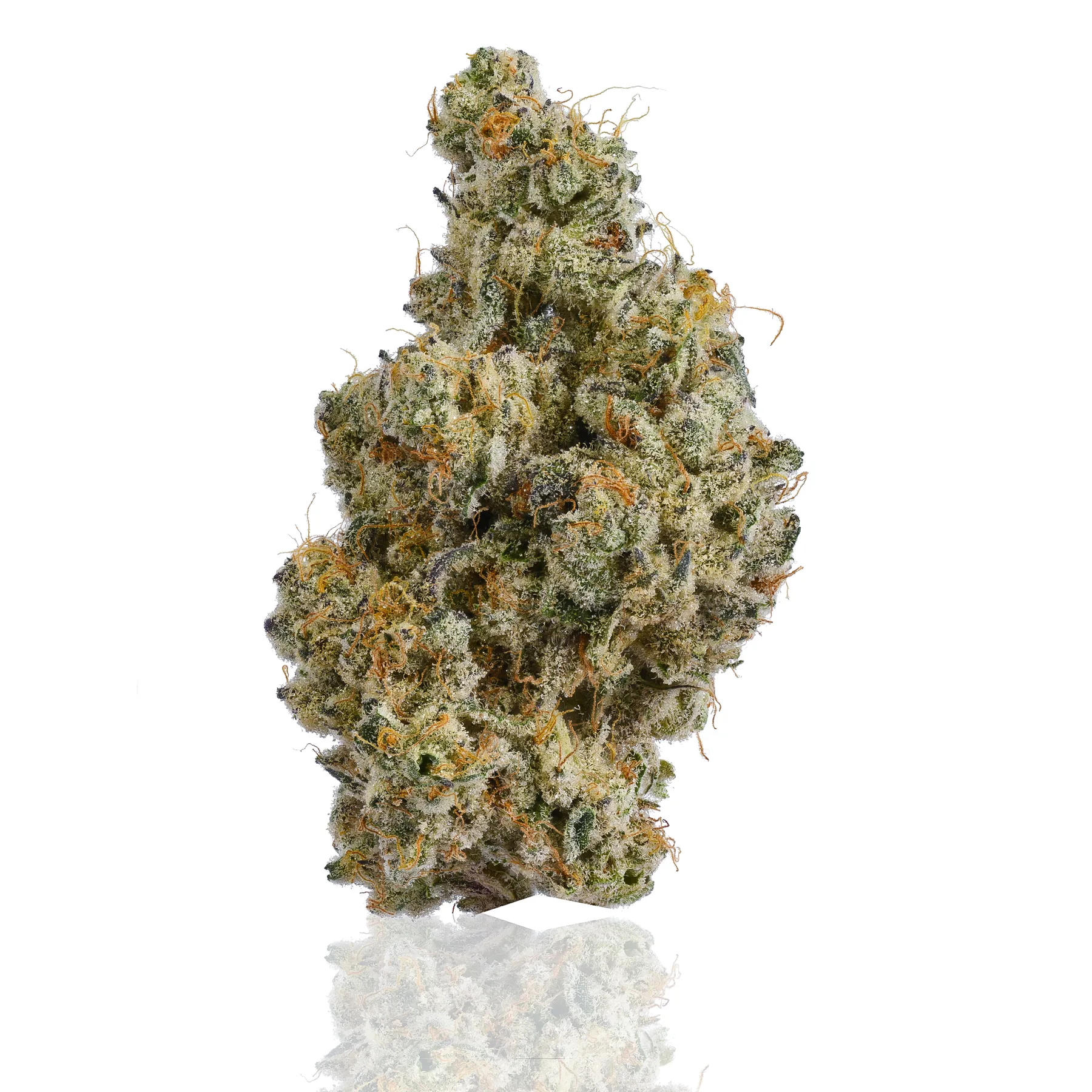 Kush Mints flower photographed on a white background, view 1