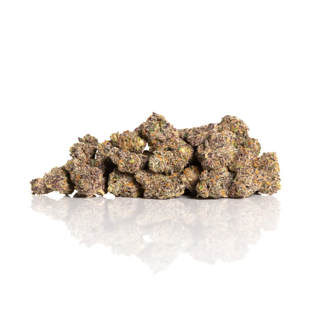 CAM Strain Highlight: Biscotti BX1 — biscottibx1 8