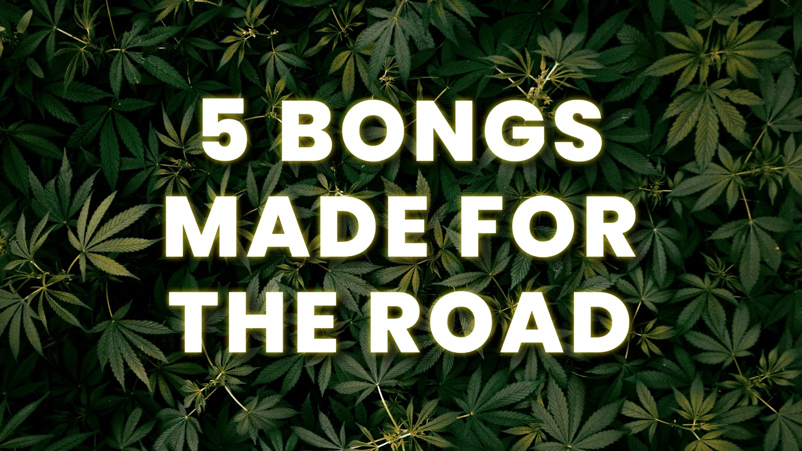 CAM archive cover for 5 Bongs Made For The Road