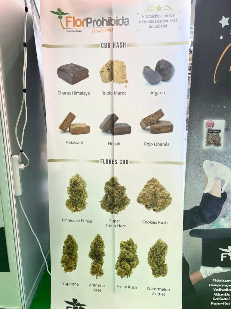 The Strains in Spain Are Mainly From The Plane — spain 8