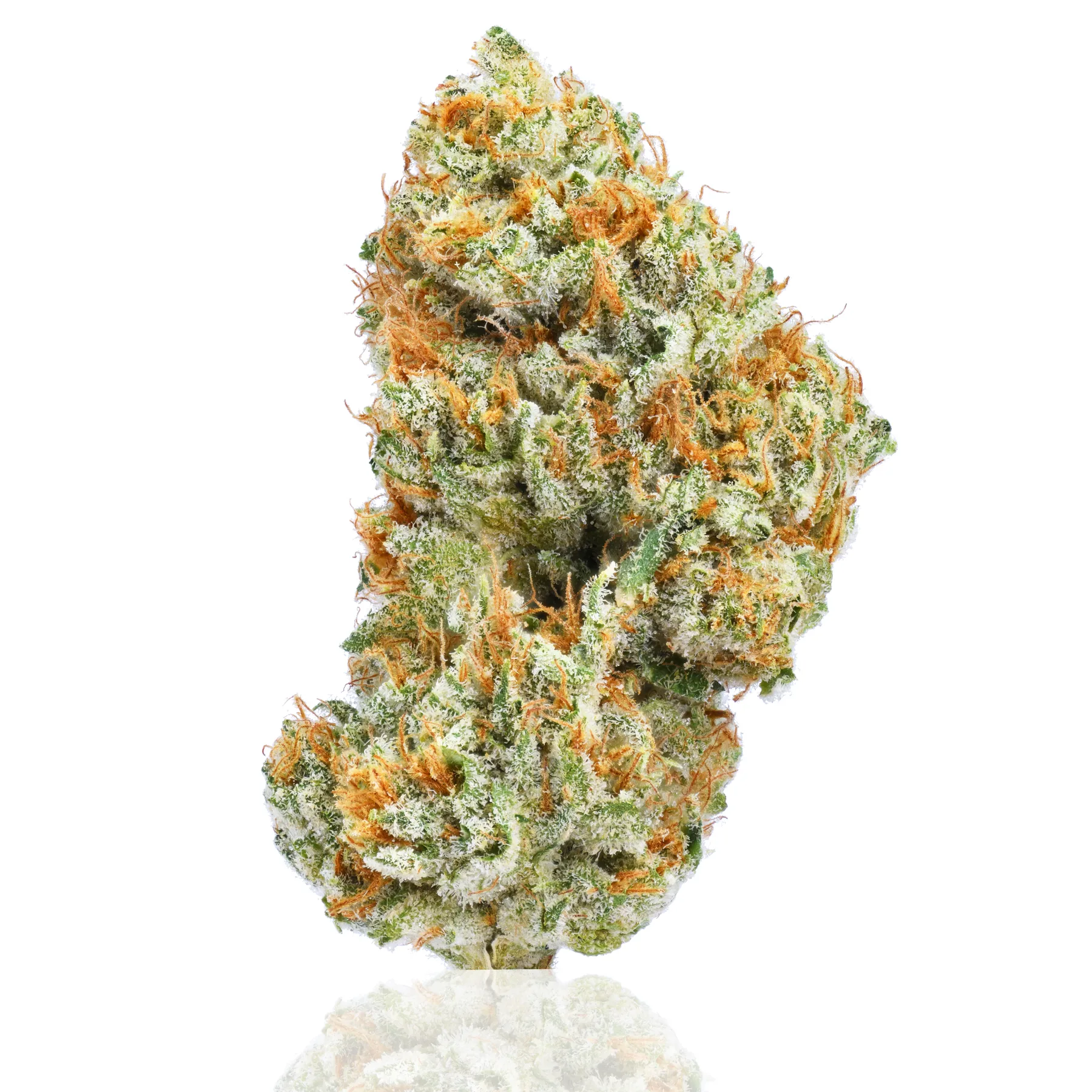 Sour OG flower photographed on a white background