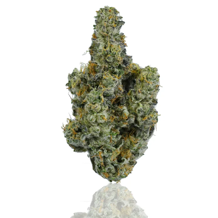 Kush Mints flower photographed on a white background, view 2