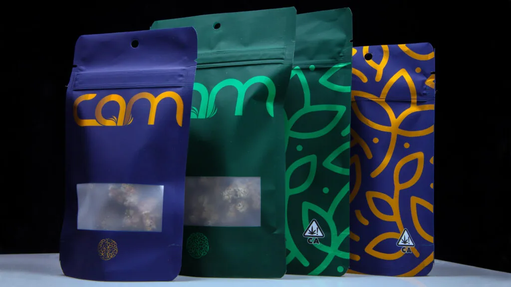 Ask Anna — cambags 1920